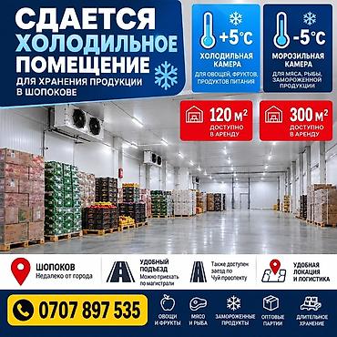 Аренда коммерческой недвижимости: 120 м², Холодильный, морозильный — 1