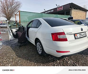 Skoda: Skoda Octavia: 2014 г., Автомат, Бензин — 5