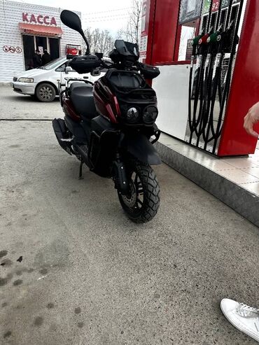 пидбайк бишкек: Продаю скутер TANK Новая сборка, в отличном состоянии – сел и поехал