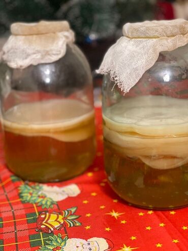 Другие продукты питания: Kombuça (çay göbələyi) mədəniyyəti və hazır içki - Şüşə bankalarda