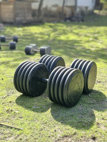 Giryalar: Girya, Yeni — 22