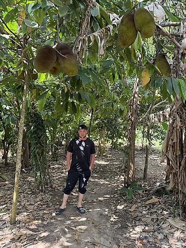 Honda: Honda Stepwgn: 2000 г., 2 л, Автомат, Минивэн — 11