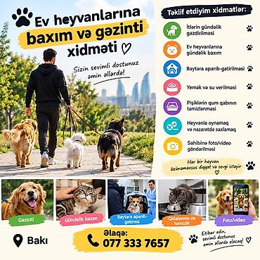 Heyvanlar üçün digər mallar: Ev heyvanlarına baxım və gəzinti xidməti – Bakı Xidmətlər: - İtlərin — 1