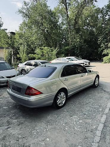 passat variant: Mercedes-Benz S-Class: 2001 г., 5 л, Автомат, Бензин, Седан — 4