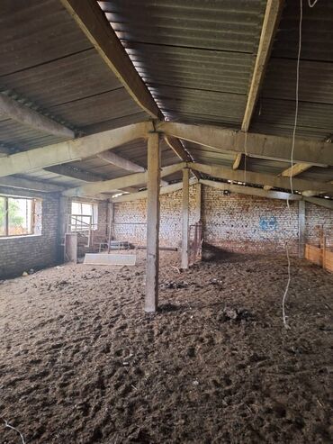 Сельхоз предприятия: Продаю Кошара, 800 соток, Действующий, С оборудованием — 9