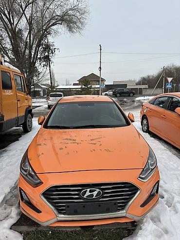 Hyundai: Hyundai Sonata: 2019 г., 2 л, Автомат, Газ, Седан — 21