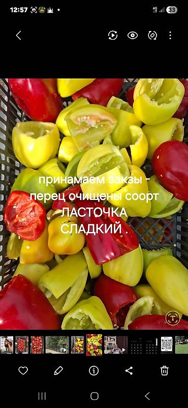 Овощи: Перец Сладкий — 1