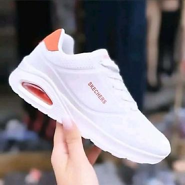 Patike: Skechers 
Cena: 3400 din
Brojevi: 36-46
PS✨ — 3
