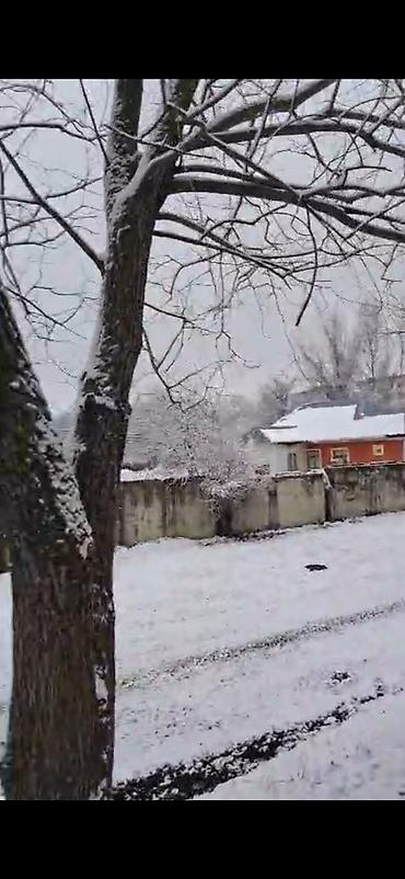 Bağ evlərinin satışı: Qəbələ, 16000 kv. m, 3 otaqlı, Hovuzsuz, İnternet — 2