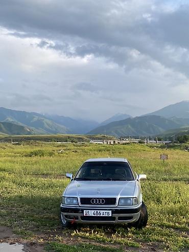 Audi: Audi 80: 1995 г., 2 л, Механика, Бензин, Седан — 10