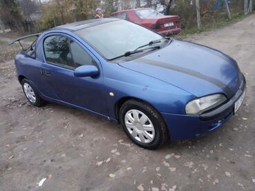 опель вектор: Opel Tigra: 1995 г., 1.5 л, Механика, Бензин, Купе