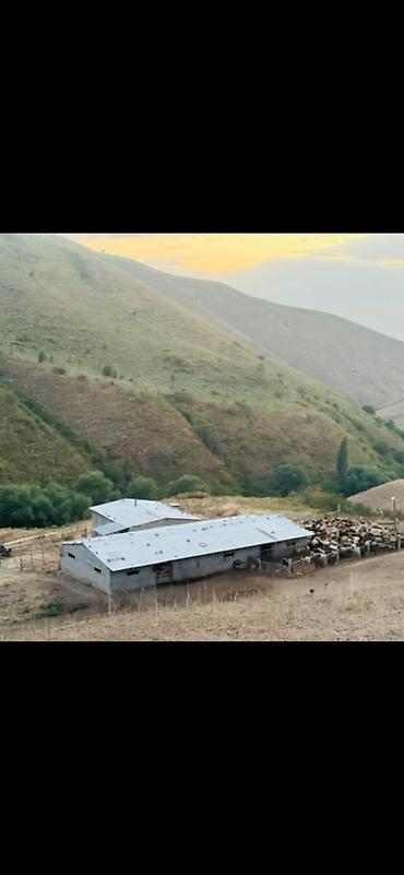 недвижимость бишкек продажа: ПРОДАЕТСЯ КОШАРА С ЖИЛЫМ ДОМОМ Локация: г. Кемин, село Алмалуу — 1