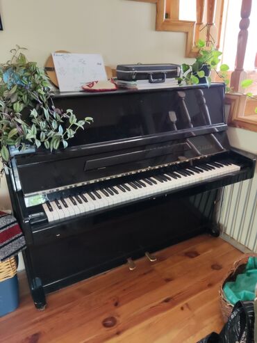 Долгосрочная аренда домов: 250 м², 7 комнат, Бронированные двери, Парковка, Утепленный — 14