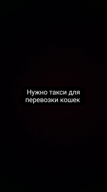 Трансфер, пассажирские перевозки: По региону Такси, легковое авто | 4 мест