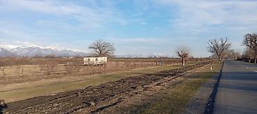 Torpaq sahələrinin satışı: Kənd təsərrüfatı — 7