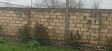 Torpaq sahələrinin satışı: 55 sot, Kənd təsərrüfatı — 6