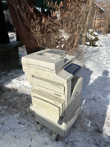 Принтеры: Продаю ксерокс HPрабочий, для профессиональной архитектурной at lalafo.kg — 12 Принтеры: Продаю ксерокс HPрабочий, для профессиональной архитектурной — 12
