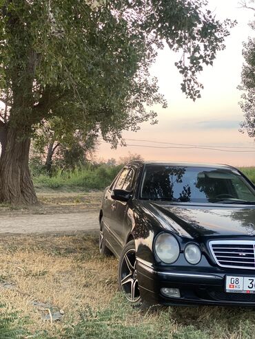 мерис 210: Mercedes-Benz : 2000 г., Типтроник, Бензин