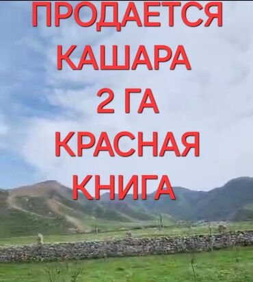 сельхоз земля: Продается кошара на 2 га земли. место прекрамное спокойное и