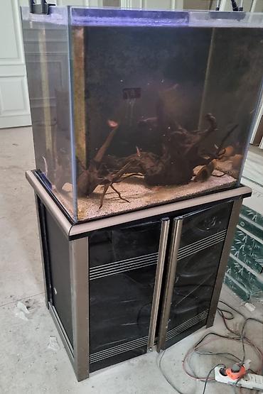 Akvariumlar: Akvarium dəsti Ölçülər: - En: 0,45 m - Uzunluq: 0,70 m - Hündürlük — 2
