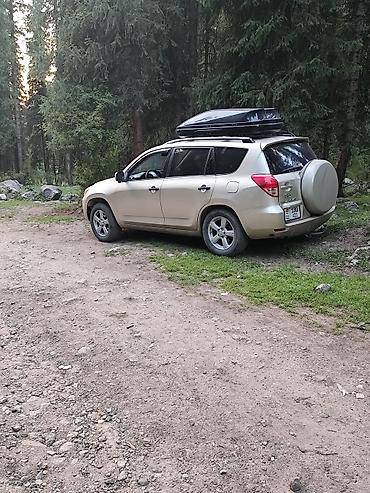 Toyota RAV4: 2007 г., 2.4 л, Автомат, Газ, Кроссовер