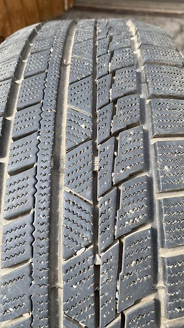 55: Зимняя шина Dunlop (липучка), модель Winter Maxx SJ8 — 5