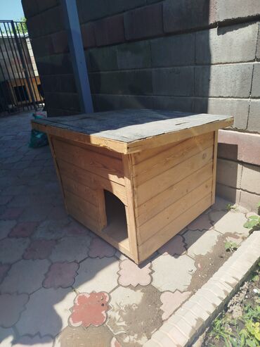 лошадь лошадь: Домик для собак 80*70 цена договорная