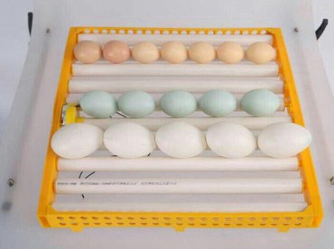 İnkubatorlar: Inkubator Rayonlara çatdırılma poct vasites ile heyata kechirilir 63 — 5