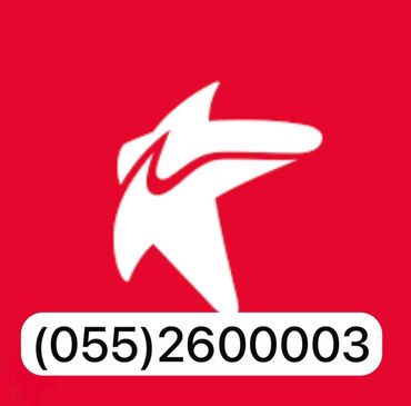 Номер: ( 055 ) ( 2600003 )