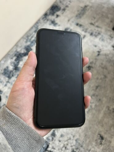 чехол на 12 мини: IPhone 11, Кара