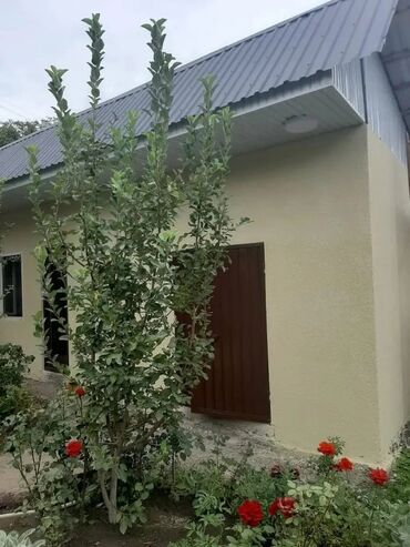 Продажа домов: Дача, 40 м², 3 комнаты, Собственник, Косметический ремонт — 20