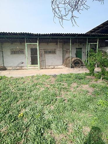 Продажа коттеджей и домов: 🏡 Продаётся двухэтажный кирпичный дом в п. Манас 📍 Недалеко от — 14