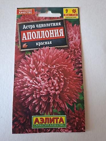kameliya gulu: Məhsul: Mərcanotu (Margaritka) toxumları – 3 fərqli qarışıq Brend — 8