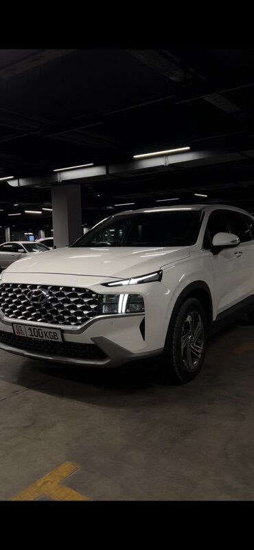 хундай стариа: Белый кроссовер Hyundai Santa Fe. Отличается просторным салоном и