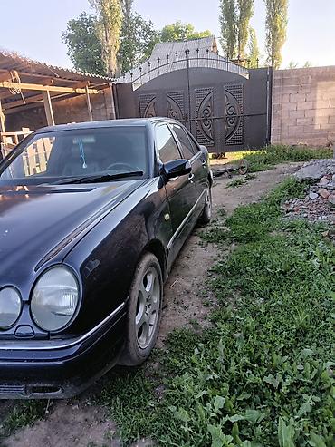 авто толщиномер: Mercedes-Benz E-Class: 1998 г., 3.2 л, Автомат, Бензин, Седан — 8