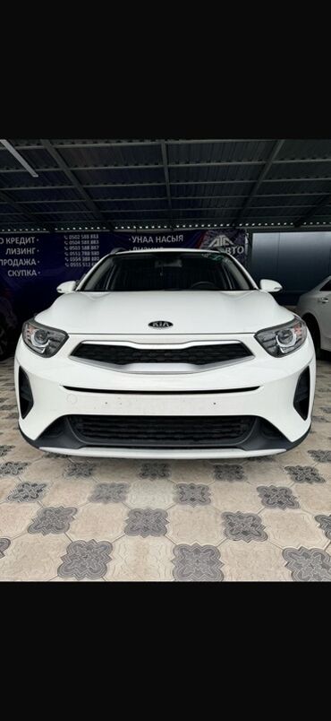 Kia: Белый Kia Stonic – компактный кроссовер с современным дизайном