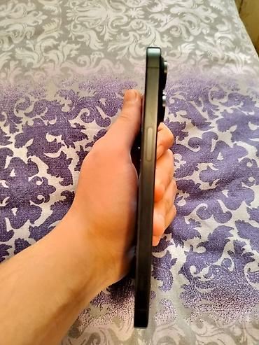 Apple iPhone: IPhone 15 Pro Max, 256 GB, Black Titanium — 3