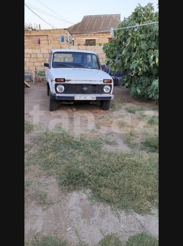 VAZ (LADA): VAZ (LADA) 4x4 Niva: 0.6 l | 1984 il 22244 km Sedan — 12