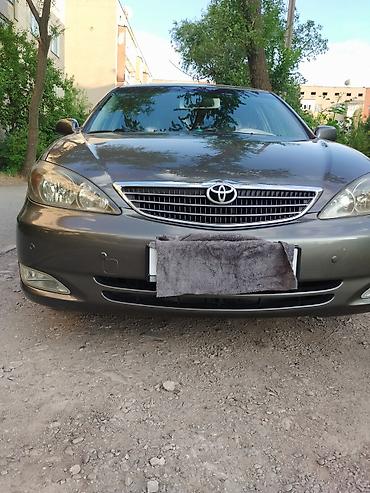 Toyota: Toyota Camry: 2004 г., 2.4 л, Автомат, Бензин, Седан — 5