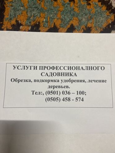 садовник охранник: Услуги профессианального садовника ! Обрезка Подкормка Лечение