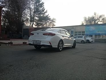соната капот: Hyundai Sonata: 2019 г., 2 л, Автомат, Газ, Седан — 6