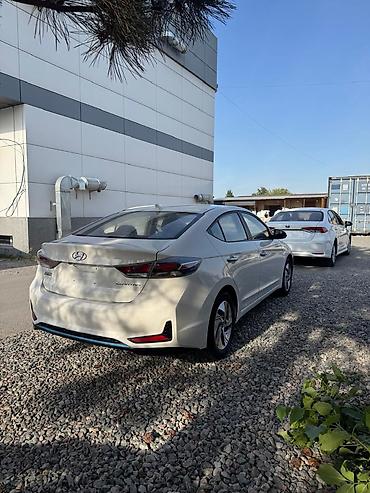 bmw рул: Hyundai Elantra: 2020 г., 1.6 л, Автомат, Гибрид, Седан — 3