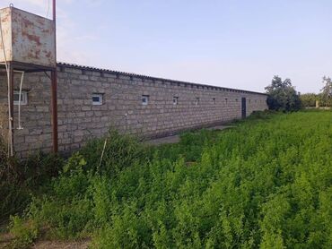 Torpaq sahələrinin satışı: 40 sot, Kənd təsərrüfatı, Mülkiyyətçi, Kupça (Çıxarış) — 11