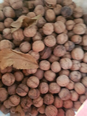Сухофрукты, орехи, снеки: Продаю грецкий орех есть 7-8 мешков