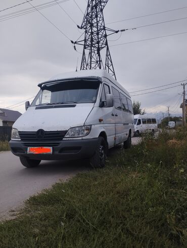 спринтер ресоры: Mercedes-Benz Sprinter: 2002 г., 3 л, Механика, Дизель, Бус