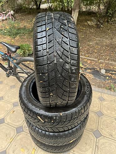 Шины: Комплект зимних шин (4 шт.) - Размер: 225/55 R17 - Тип: зимние — 3
