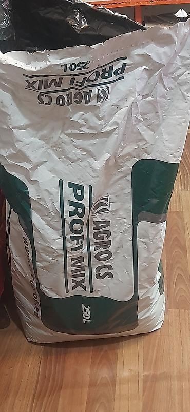 Пион: Пионы климатис, глициния, чёрную смородину, магонию, фундук — 19