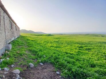 Сельхоз предприятия: Продаю Кошара, 50 соток, Действующий, Без оборудования, Электричество — 22