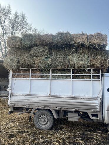 продаю кур: Беде чоп сатылат