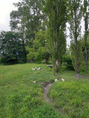 Torpaq sahələrinin satışı: 75 sot, Tikinti, Maklerlər narahat etməsin, Kupça (Çıxarış) -da lalafo.az — 4 Torpaq sahələrinin satışı: 75 sot, Tikinti, Maklerlər narahat etməsin, Kupça (Çıxarış) — 4